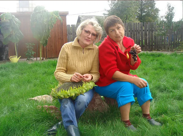 Где лучше жить: в деревне или городе? Мой взгляд