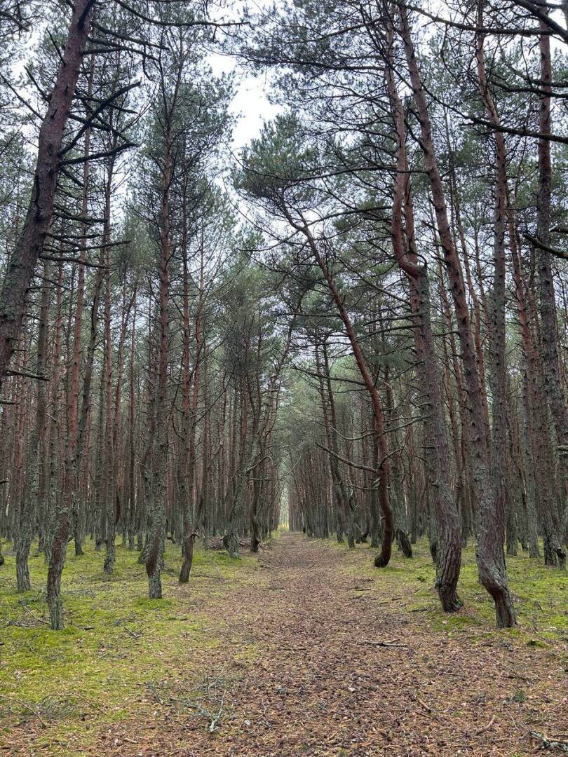 Личный опыт: как меня развели в Калининграде на деньги за фотографии