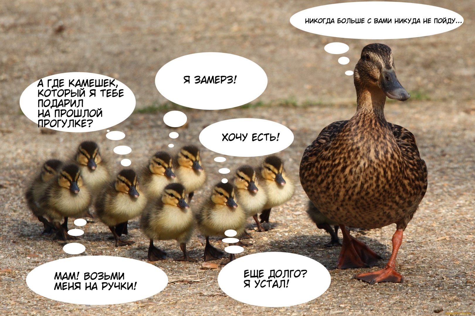 Это вредное слово "потом" или как выжить маме в режиме многозадачности