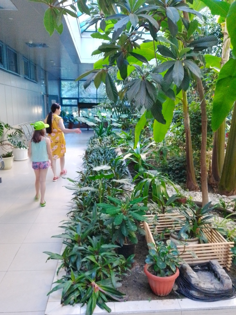 Наш отпуск в Анапе в 2023 году и наши впечатления.