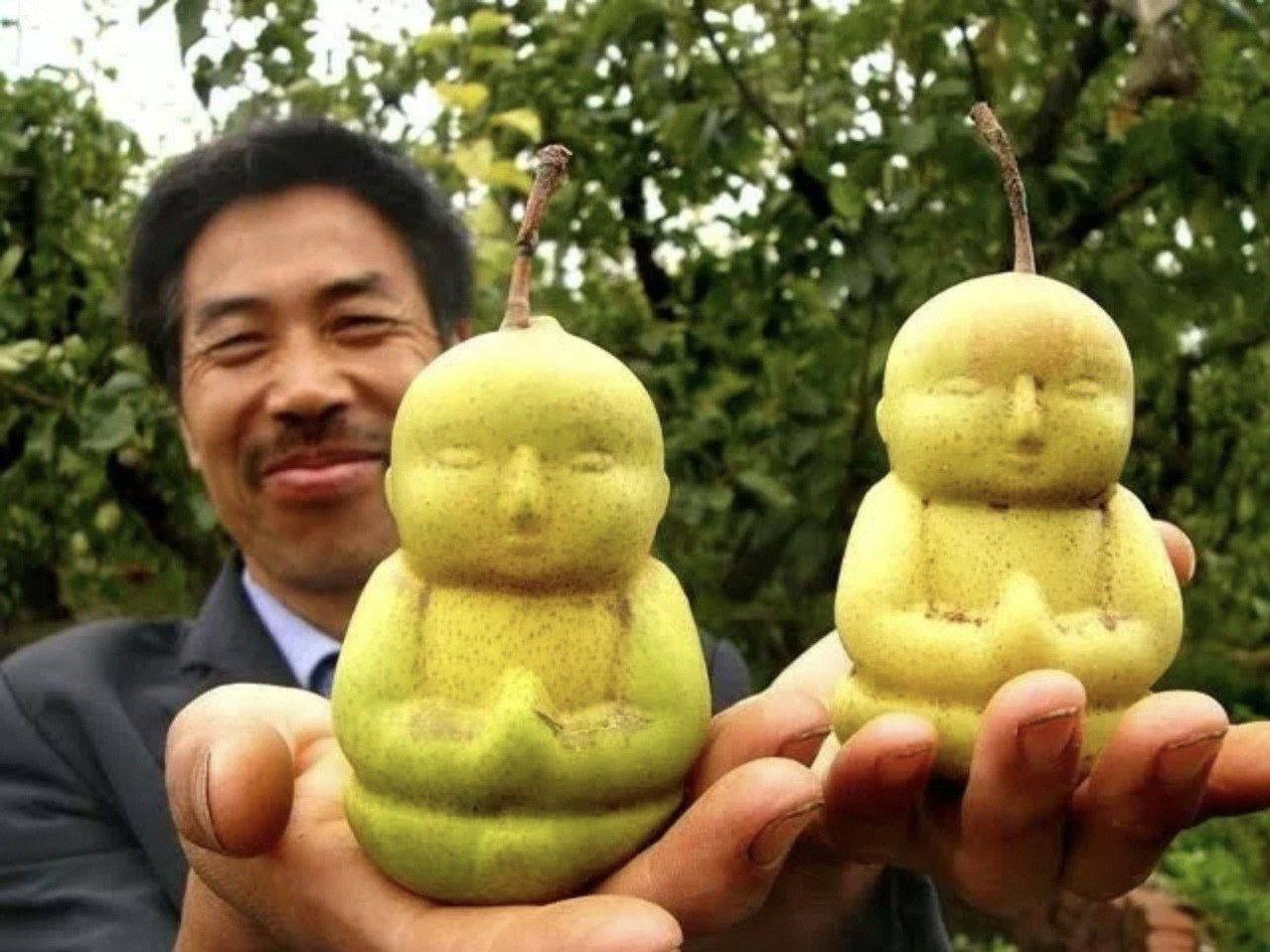 Мир форм: Фрукты в Японии растут во всех формах.