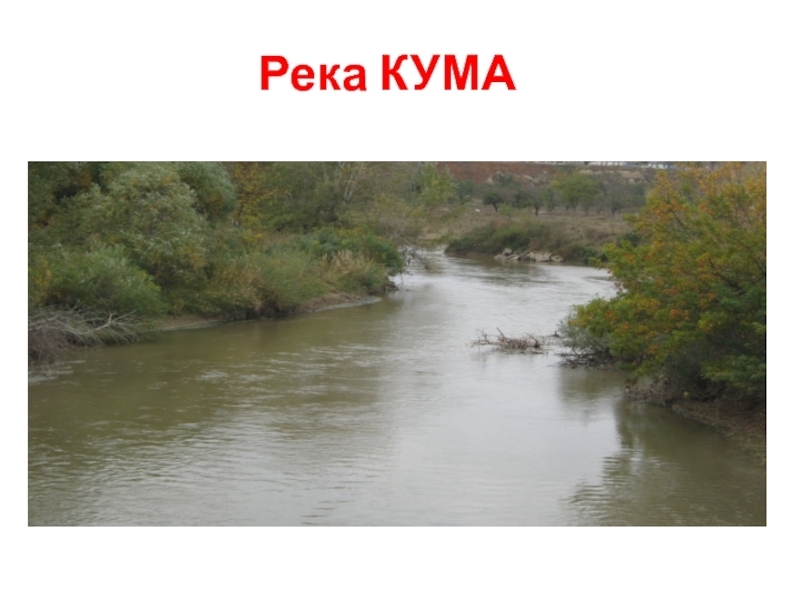 Устье какой российской реки, впадающей в море, находится на 28 м ниже уровня Мирового океана?