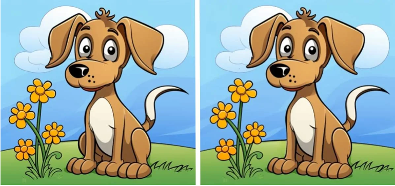 Две собаки — три различия: быстрый тест на внимательность