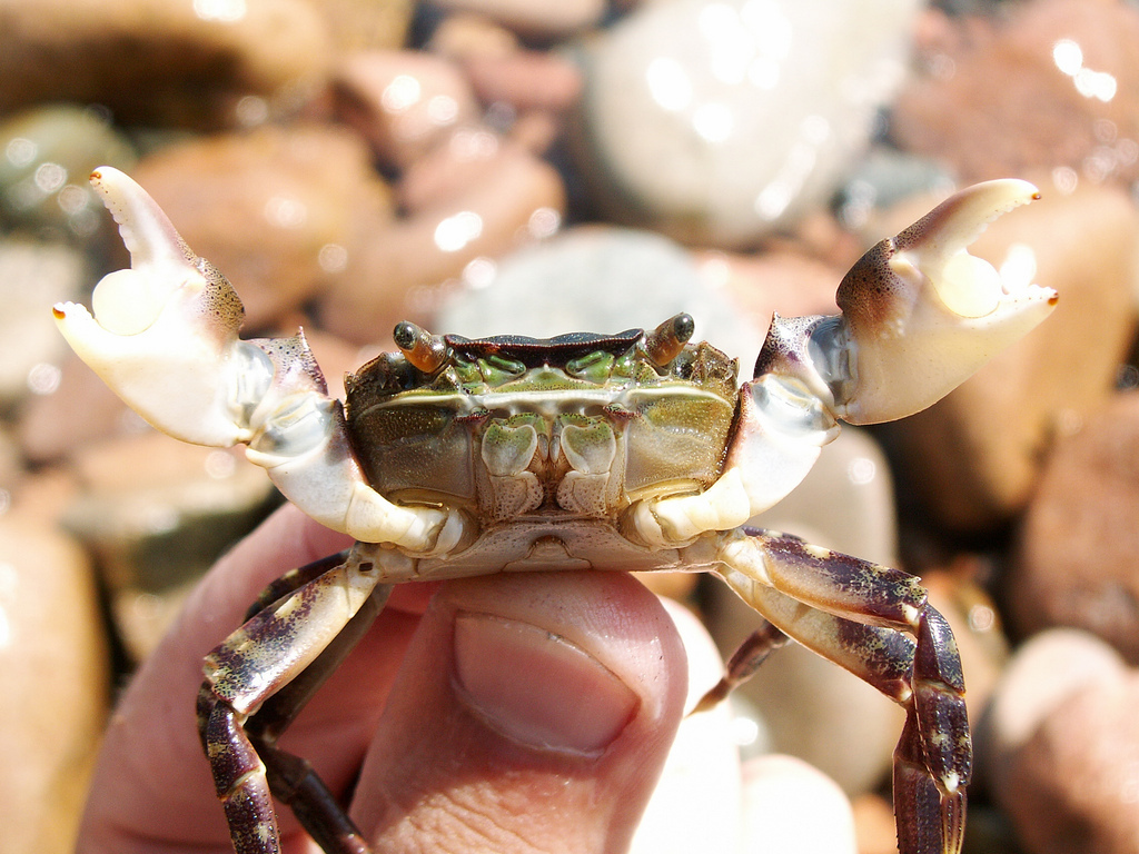 Редкие места России, про которые вы едва слышали.