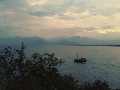 Почему я не люблю дачу