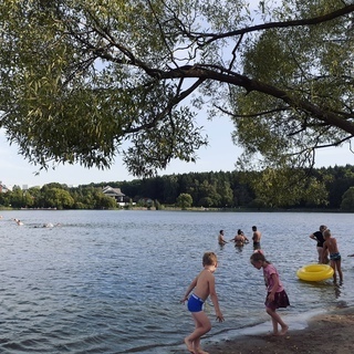 Почему я не люблю дачу