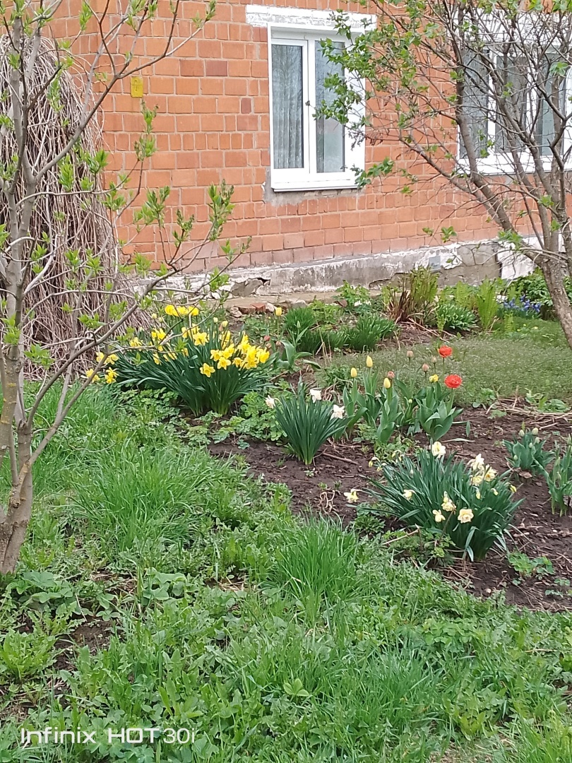 Покупки в «Пятёрочке», и не только. Как ни экономь, кушать-то надо!