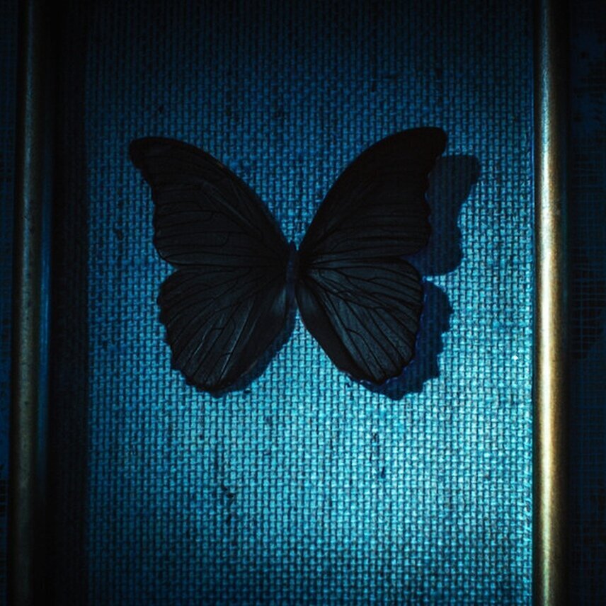 Шикарные детективные сериалы прямиком из Франции. Вы не пожалеете посмотрев эти сериалы.