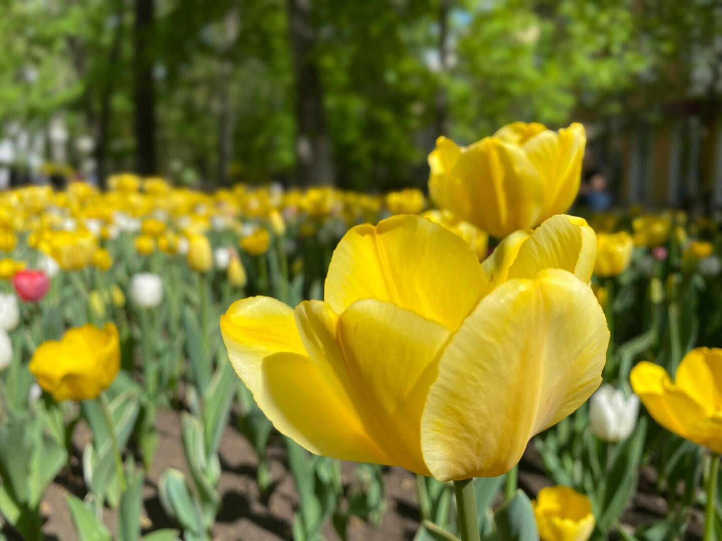 Это происходит впервые в истории. Отменилось время года