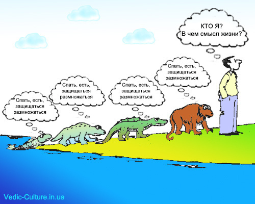 Главный вопрос, волнующий миллиарды людей...