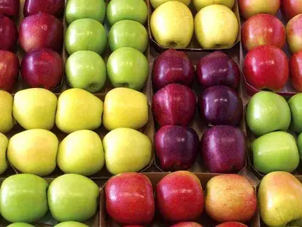 Хрустящие и сладкие яблоки: как определить качество фрукта