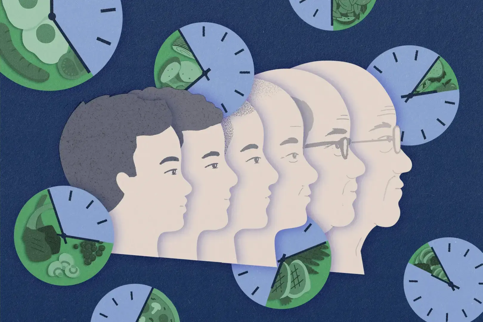 Употребление меньшего количества еды жить дольше ?