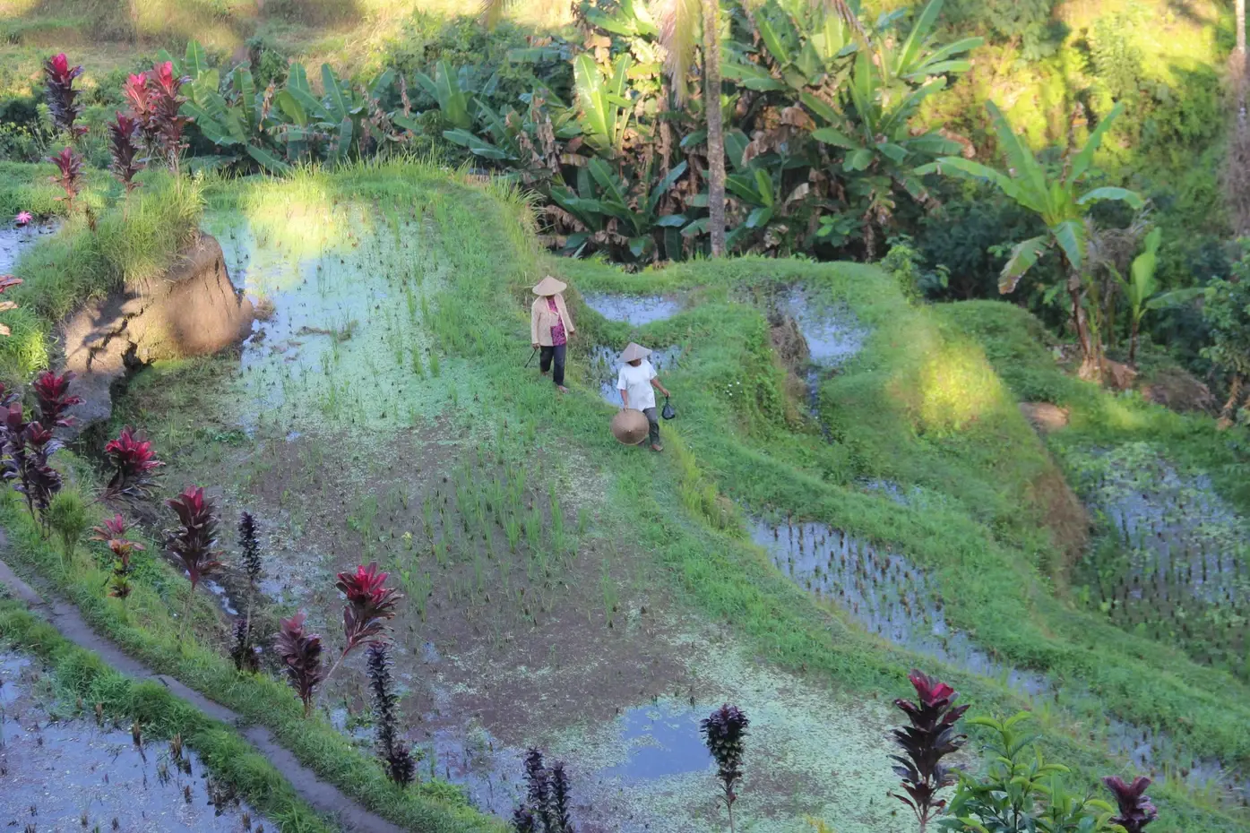 Незабываемое путешествие на Бали