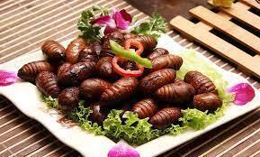 Съедобные насекомые не ограничиваются сверчками! Каких съедобных «червячков» едят во всем мире?