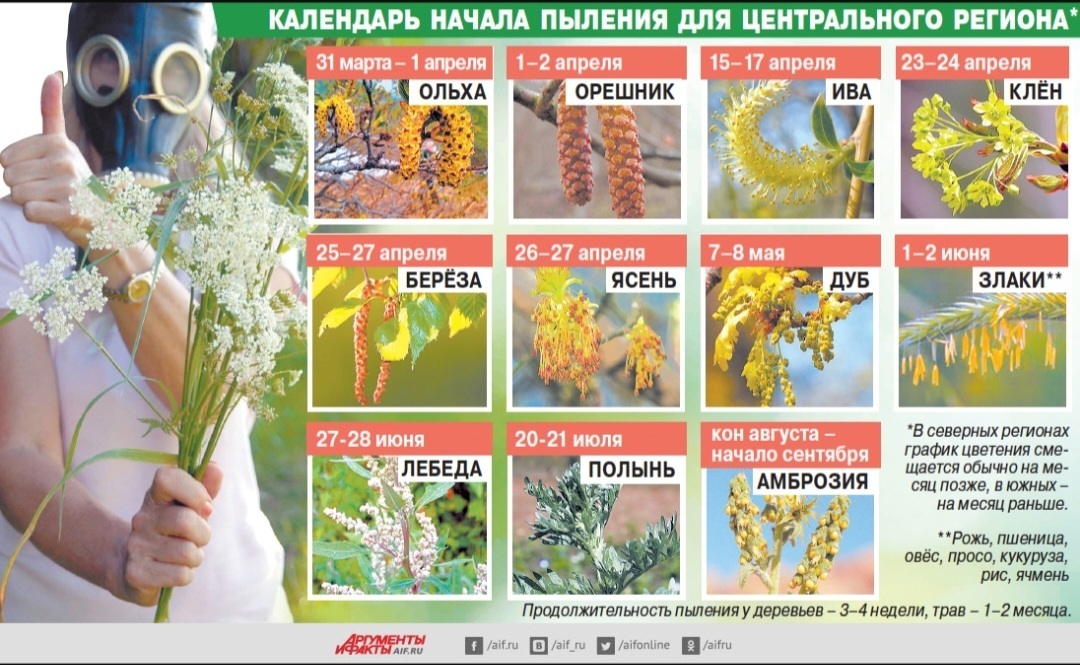 Как понять, что у вас - аллергия или ОРВИ