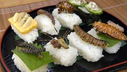 Съедобные насекомые не ограничиваются сверчками! Каких съедобных «червячков» едят во всем мире?