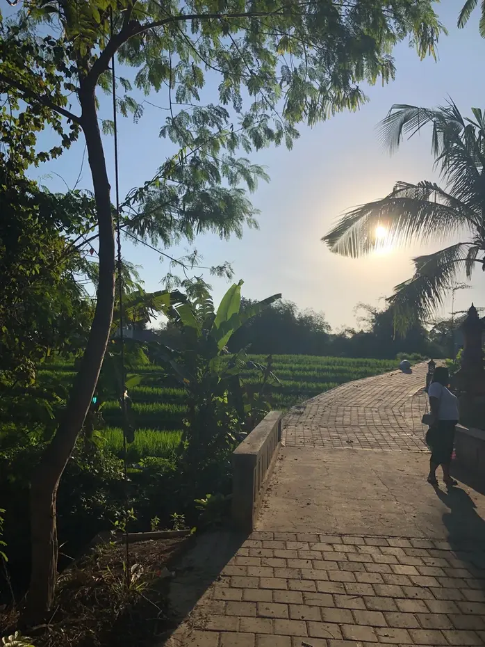 Незабываемое путешествие на Бали