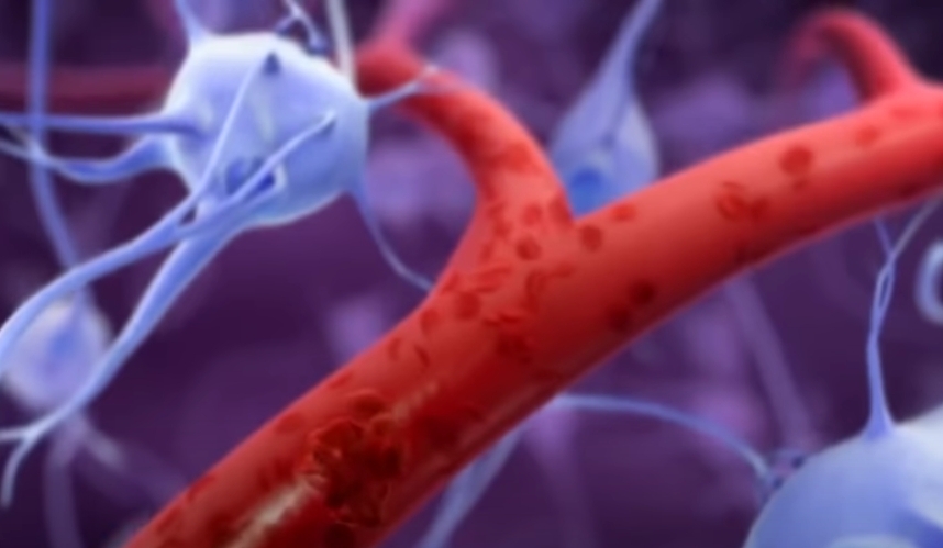 Что такое кумарины?