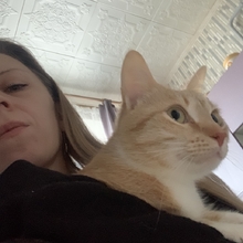 Елена, г. Санкт-Петербург