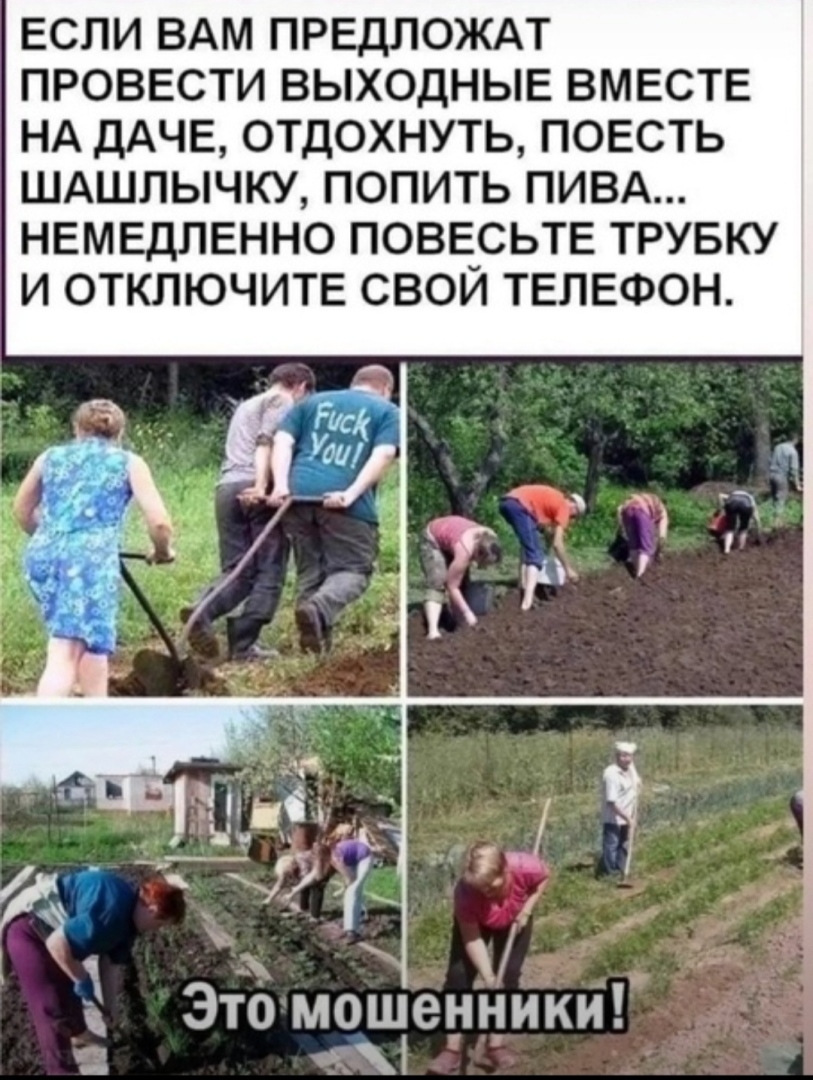 У нас жара _ Едем на дачу