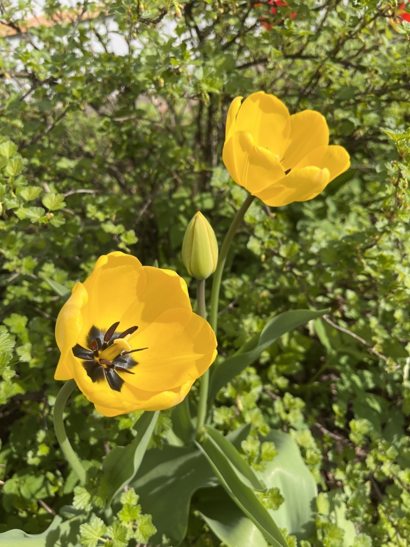 Гарантии для многодетных работников по ТК РФ – можно ли взять отпуск работнику вне графика?