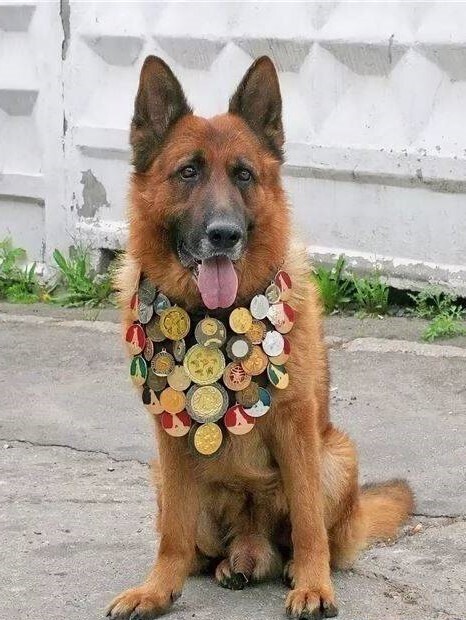 Почему все статьи теперь «БЕЗ НАЗВАНИЙ»? Спойлер - меньше надо было «стучать»!