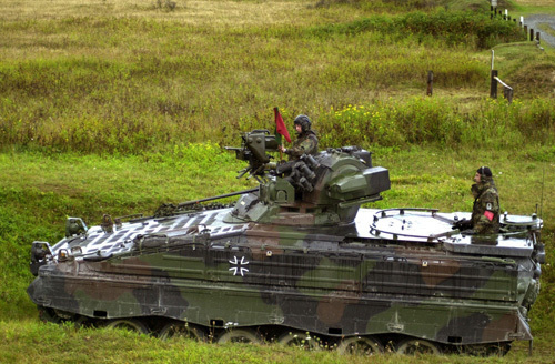 В Германии подожгли дачу главы Rheinmeta<span style=