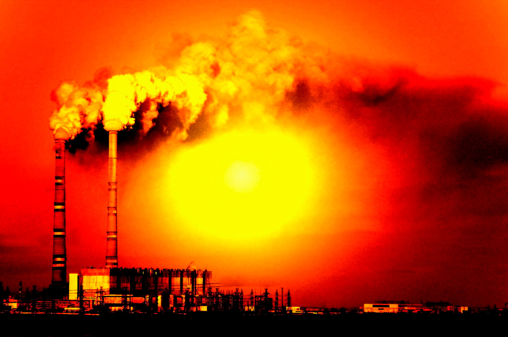 Не в цене дело...