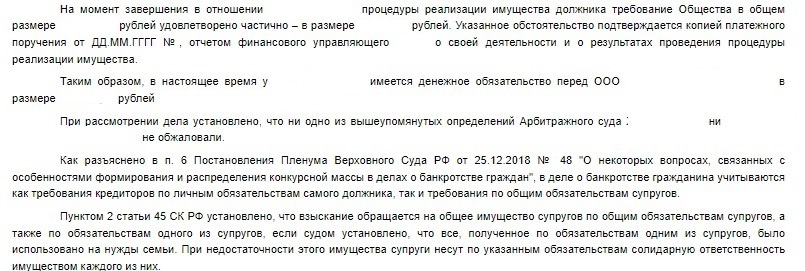 Тот случай, когда банкротство не спасло от выплаты долга по кредиту. Апелляция не помогла