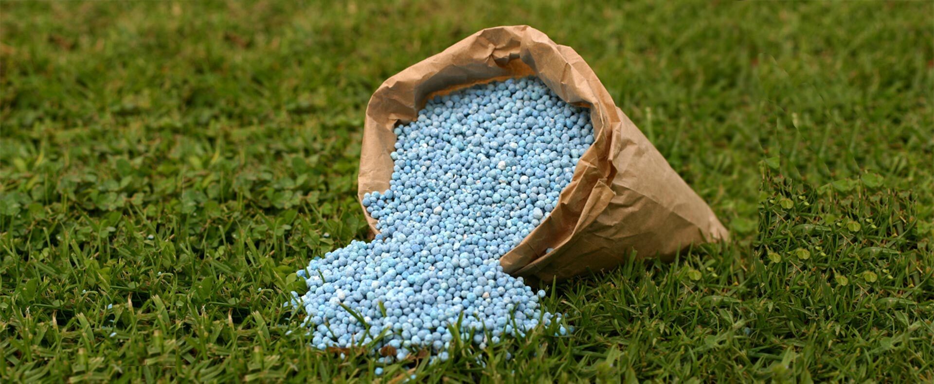 Европа в ловушке собственной безответственности: Россия лишь делает свое дело