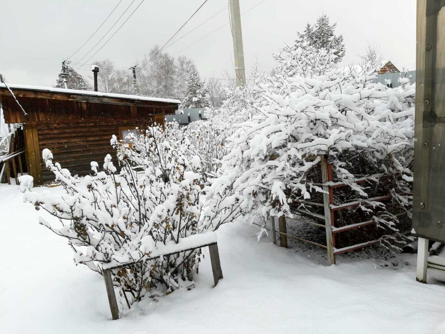 Настройся на лучшее: рукопожатие