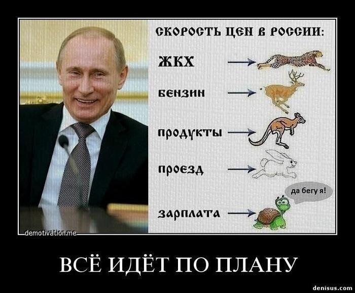 Как бы хотелось правду истории знать ! Это помогло бы ошибок многих избежать , а так всё из начала начал или круга своя повторяется .