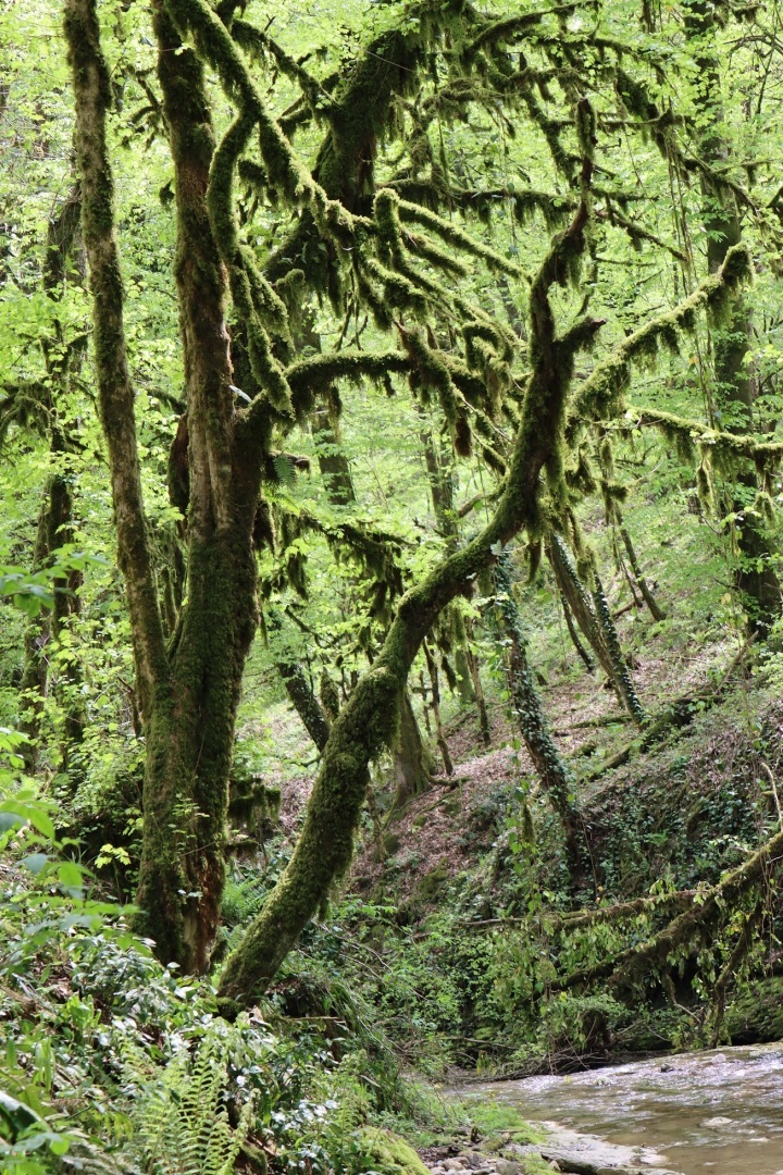 Ореховский водопад в Сочи, хотите добраться самостоятельно?