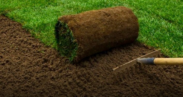 Какой грунт должен быть для газона?