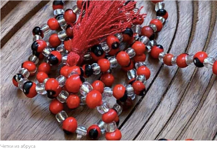 "Летальная Флора: ТОП-10 Самых Смертоносных Деревьев Мира"