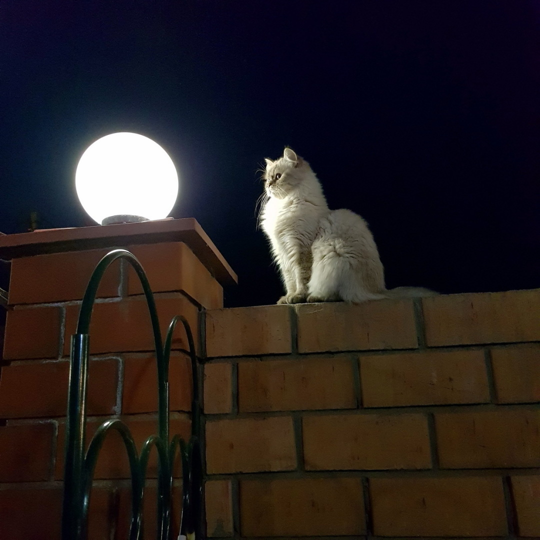 Важен ли сон для здоровья?