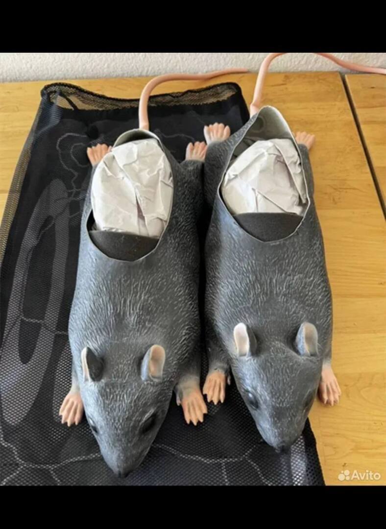 "История бархатных крысотяг: от модного тренда до коллекционных предметов"