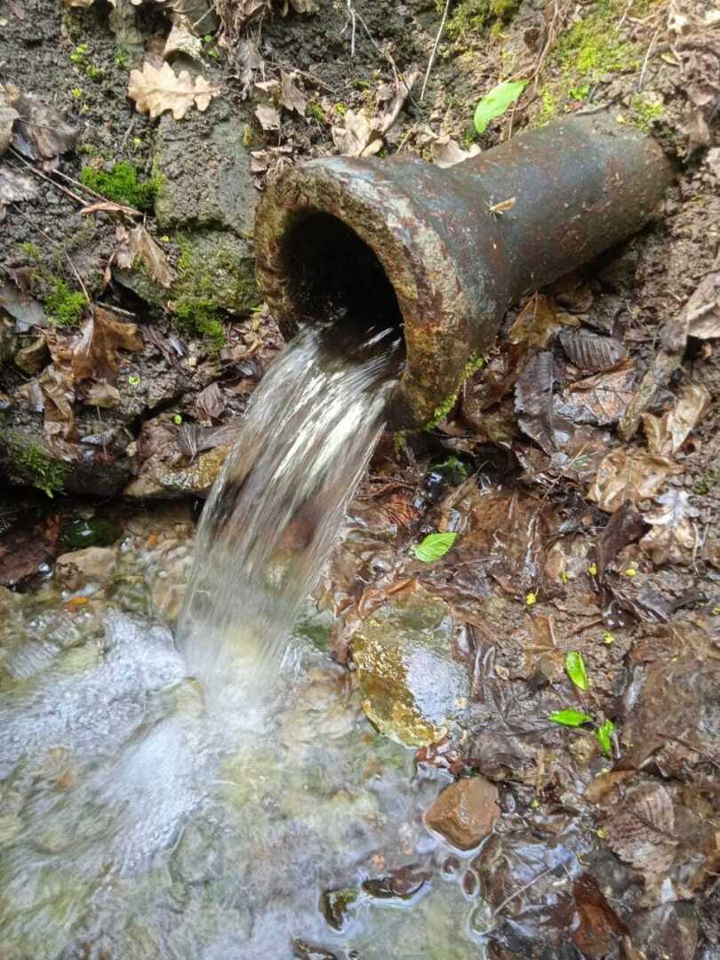 Красавка - деревня, которой нет уже на карте, но память о которой жива в сердцах ее потомков.10 мая 2024 года Красавка ждет земляков в гости.