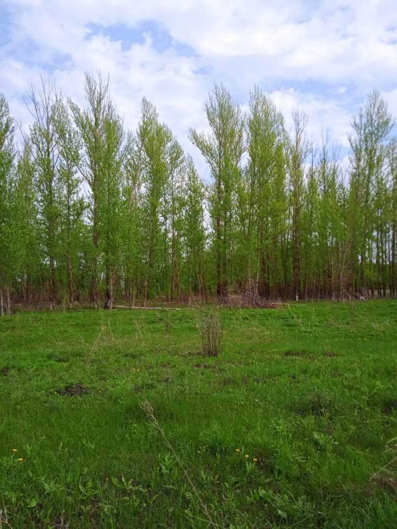 Красавка - деревня, которой нет уже на карте, но память о которой жива в сердцах ее потомков.10 мая 2024 года Красавка ждет земляков в гости.