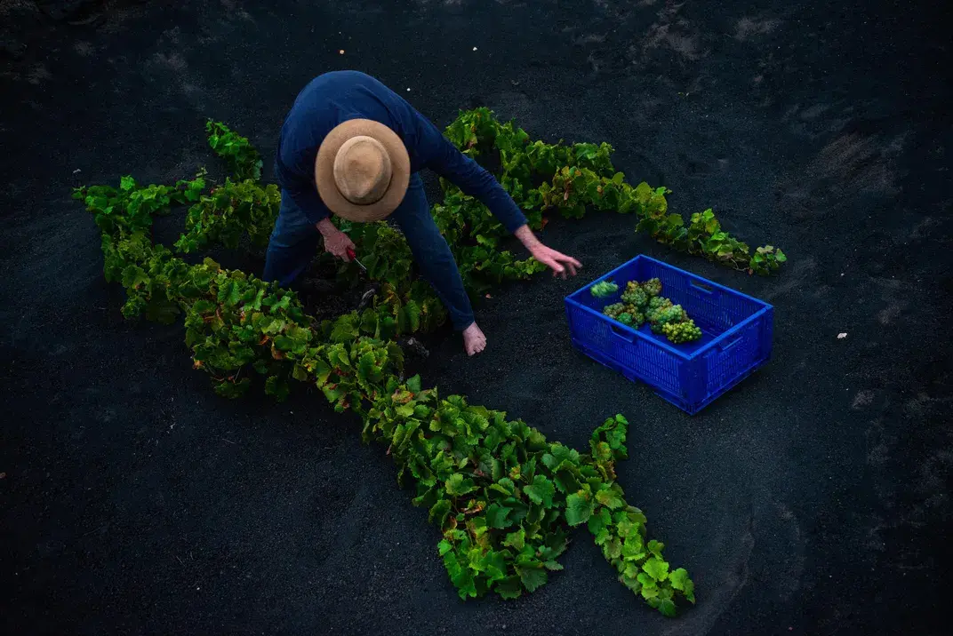 Учимся любить трудную жизнь на Лансароте
