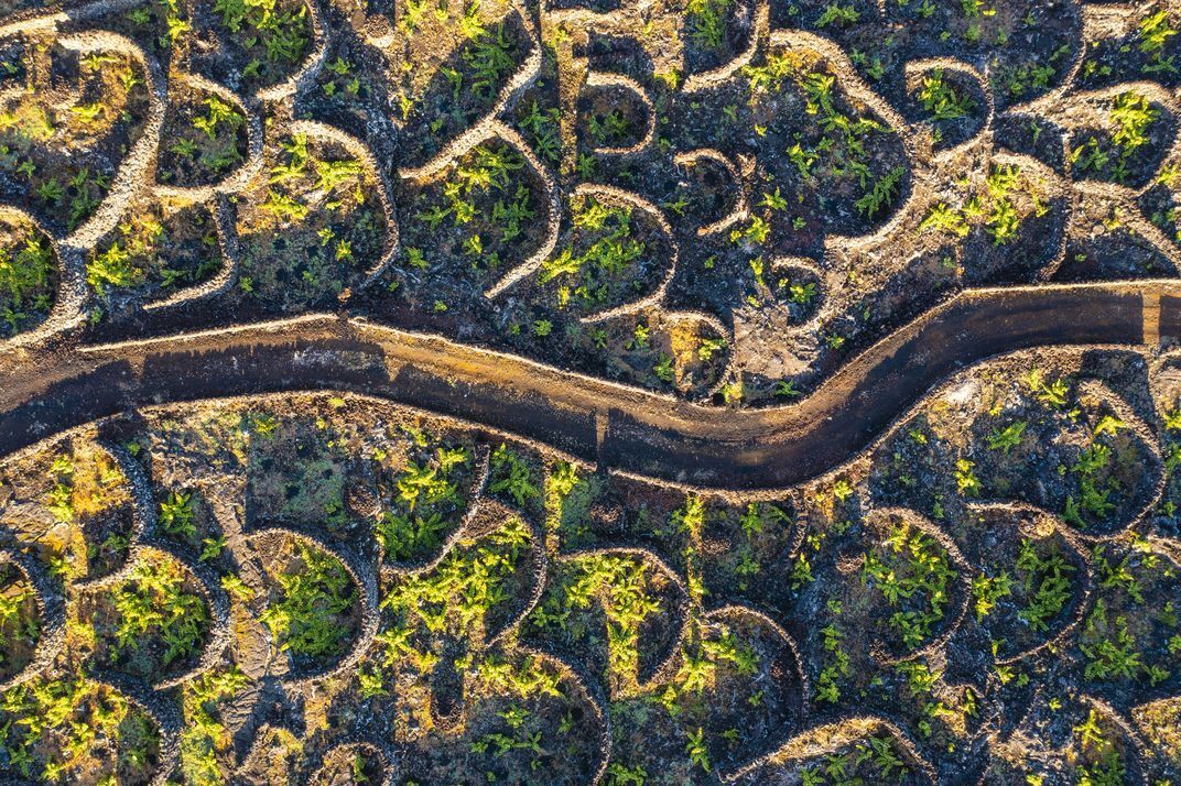 Восемь восхитительных винных регионов, о которых вы, возможно, никогда не слышали