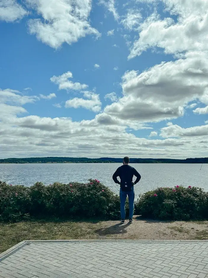 История из путешествий: о краже чайкой водительских прав и банковских карт в Карелии