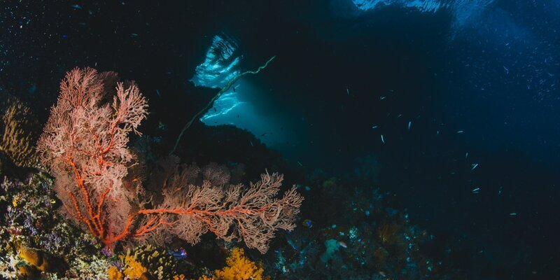 Загадка глубин: Ученые открыли самую глубокую голубую дыру у побережья Мексики