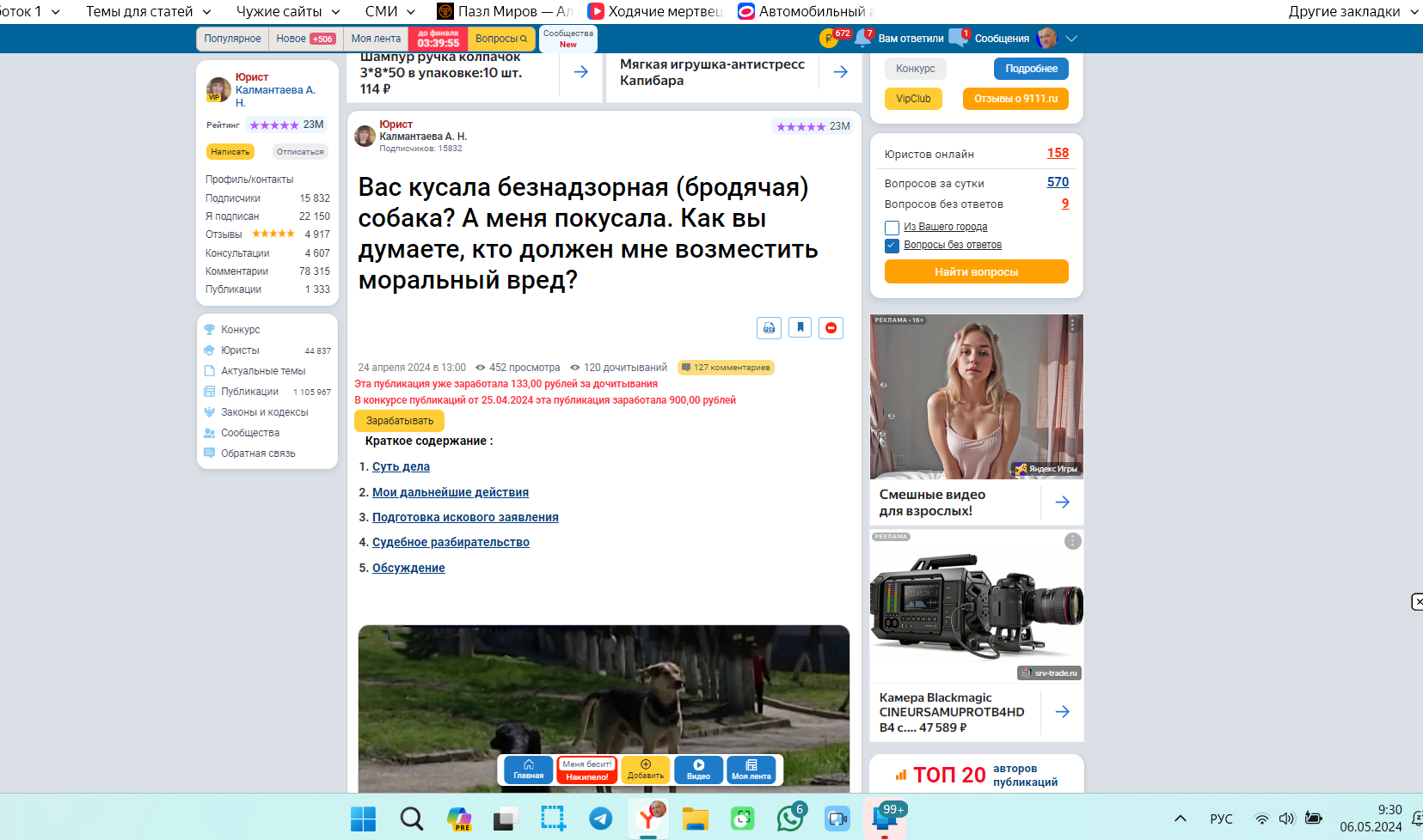 Что-то я о себе, да о себе. А сегодня о собаках