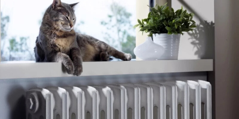 Москва в ожидании тепла: Сергей Собянин дарит тепло в холодные весенние дни