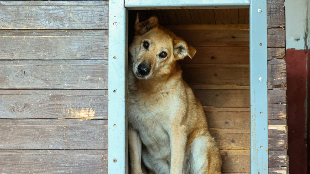 Как не нужно "играть в прятки" с правоохранительными органами