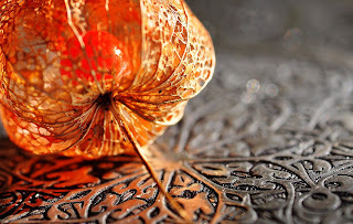 Существует только несколько съедобных сортов физалиса