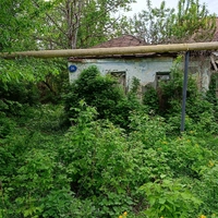 IMG20240428152952.jpg