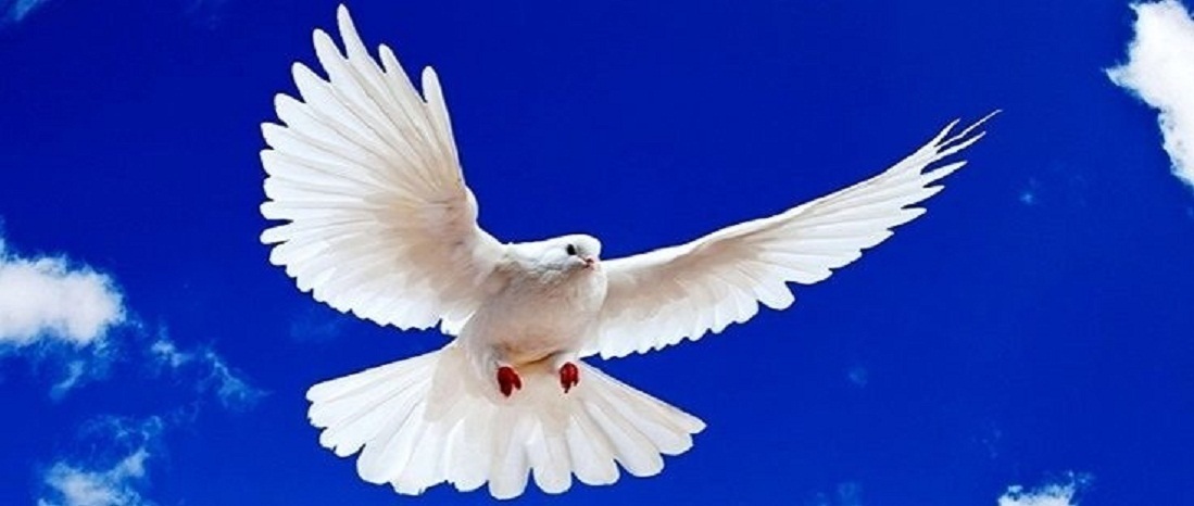 Ба - "Голубь", Бак - "Ястреб".