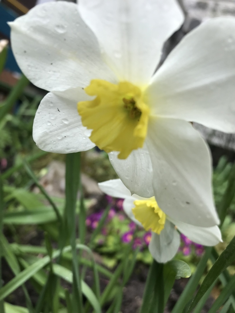 Месяц май - это Первомай, это день Радио, это праздник 9 Мая, и это просто месяц,